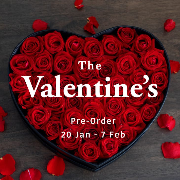 Valentine's Day 2020