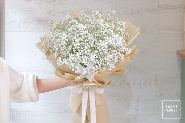 ช่อยิปซี Gypsophila