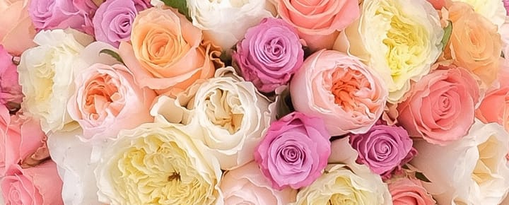 Valentine’s Day 2025