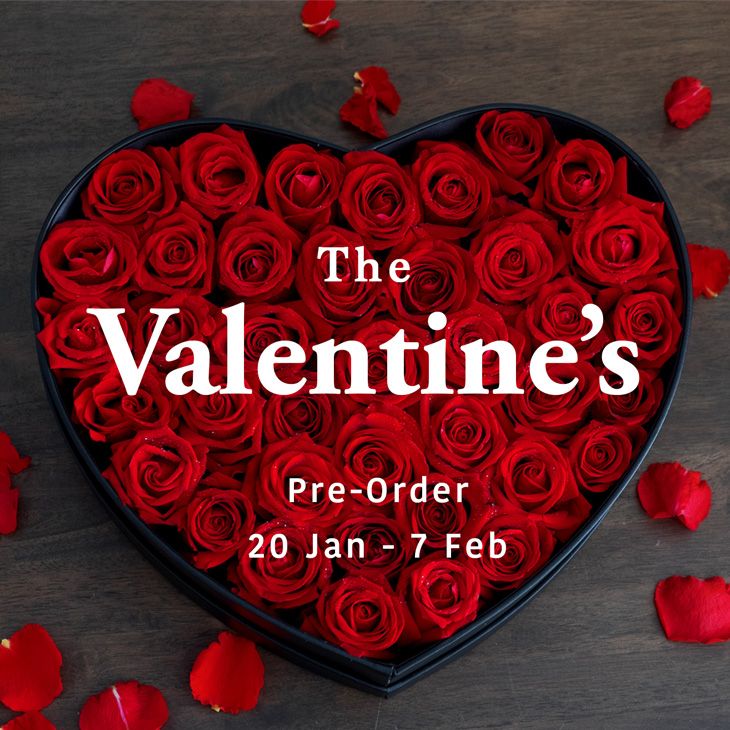 Valentine's Day 2020