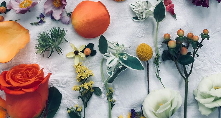 Flower class